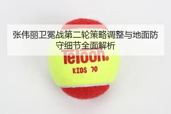 张伟丽卫冕战第二轮策略调整与地面防守细节全面解析（PARealBet）